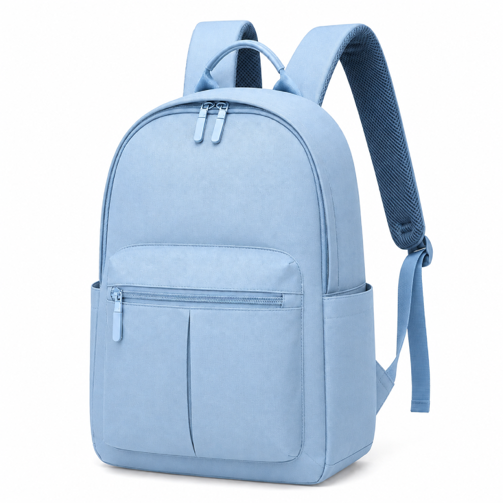 Skybag1_6a912bd155b68.png